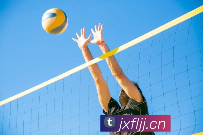 开云手机在线登陆入口发展历程